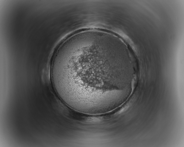 X0000090491224200707201531