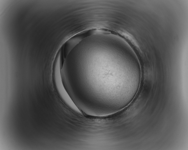 X0000090491226200707201531