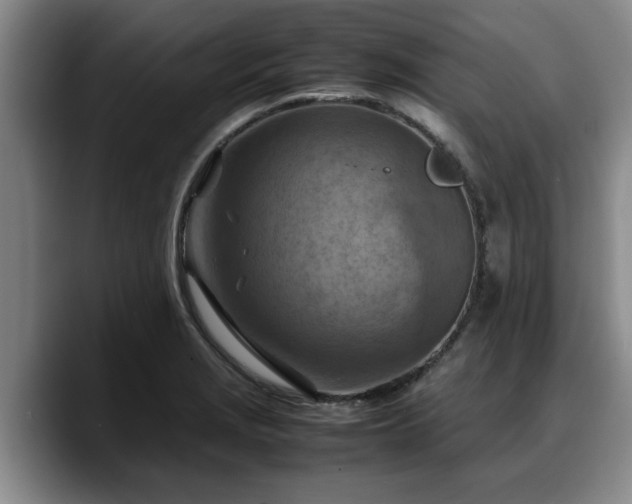 X0000090491229200707201531