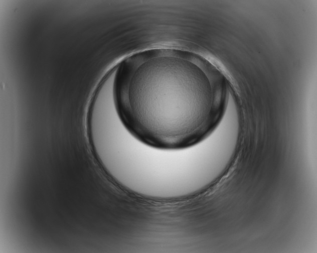 X0000090491230200707201531
