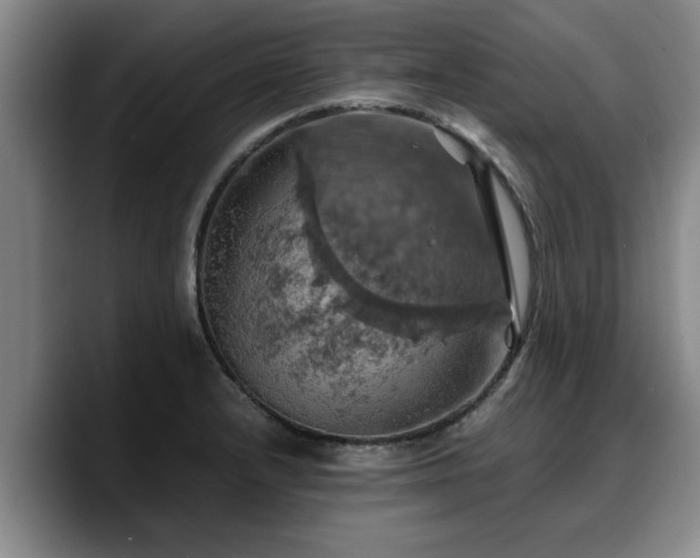 X0000090491232200707201531