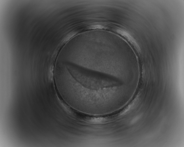 X0000090491233200707201531