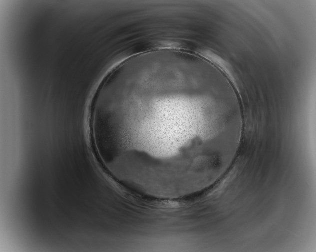 X0000090491235200707201531