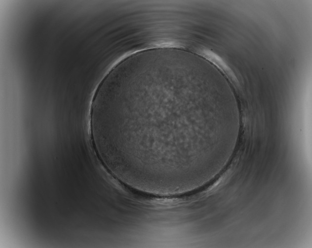 X0000090491236200707201531