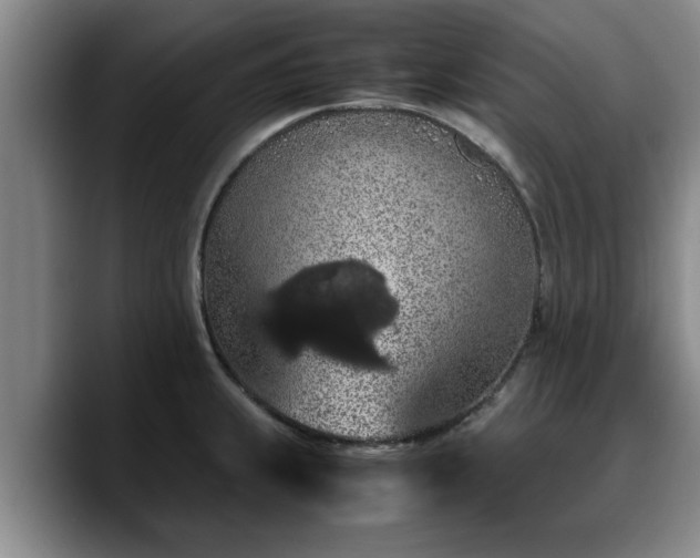 X0000090491239200707201531