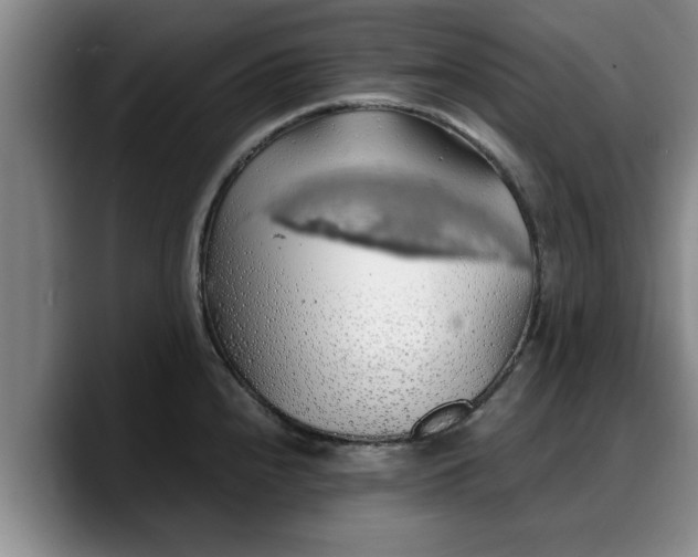 X0000090491240200707201531