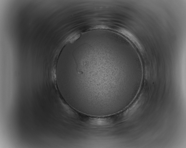 X0000090491241200707201531