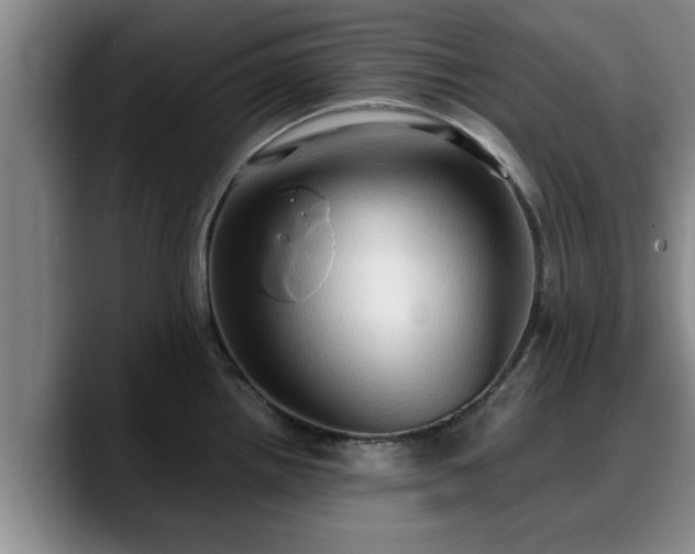X0000090491242200707201531