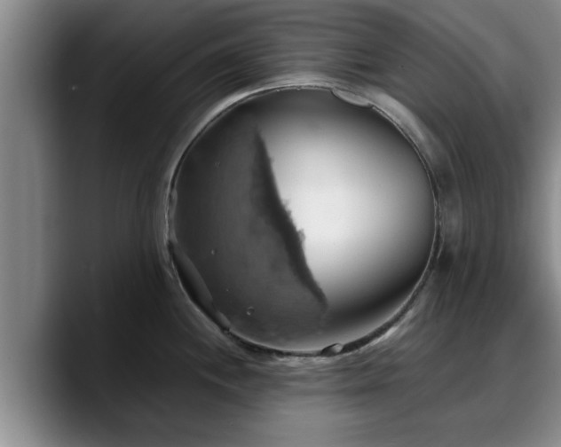 X0000090491244200707201531