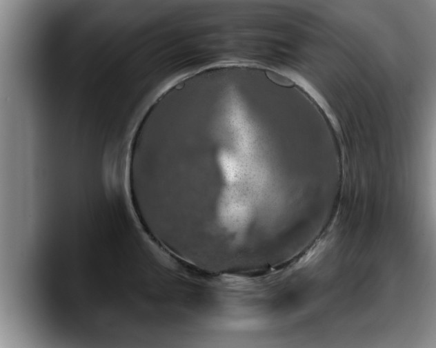 X0000090491245200707201531