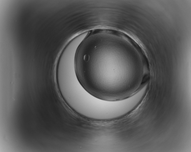 X0000090491246200707201531