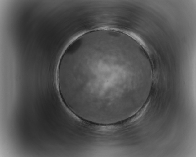 X0000090491247200707201531