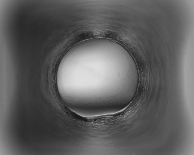 X0000090491249200707201531