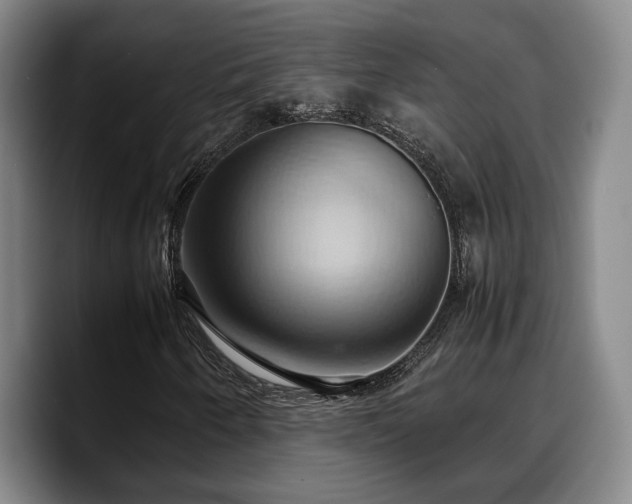X0000090491250200707201531