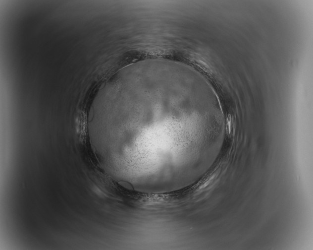 X0000090491251200707201531