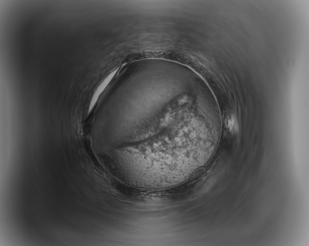 X0000090491252200707201531