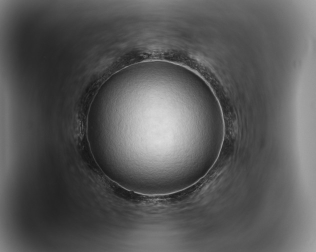 X0000090491253200707201531