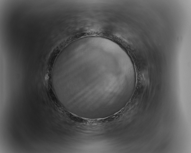 X0000090491254200707201531