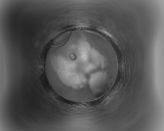 X0000090491255200707201531