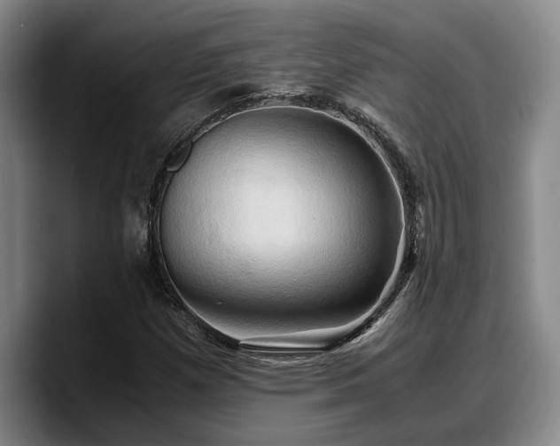 X0000090491257200707201531