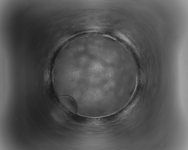 X0000090491259200707201531