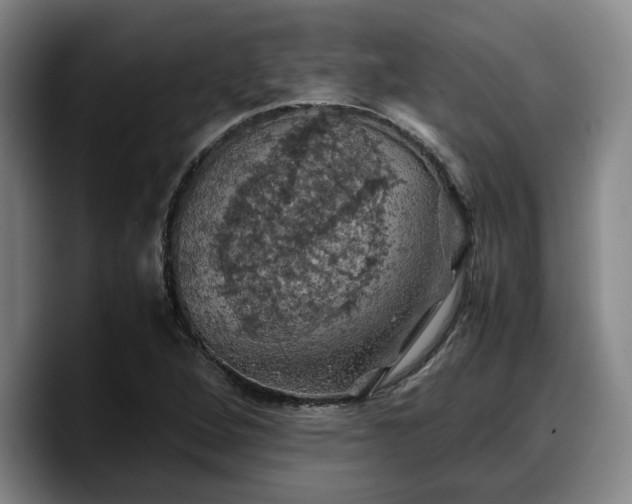 X0000090491264200707201531