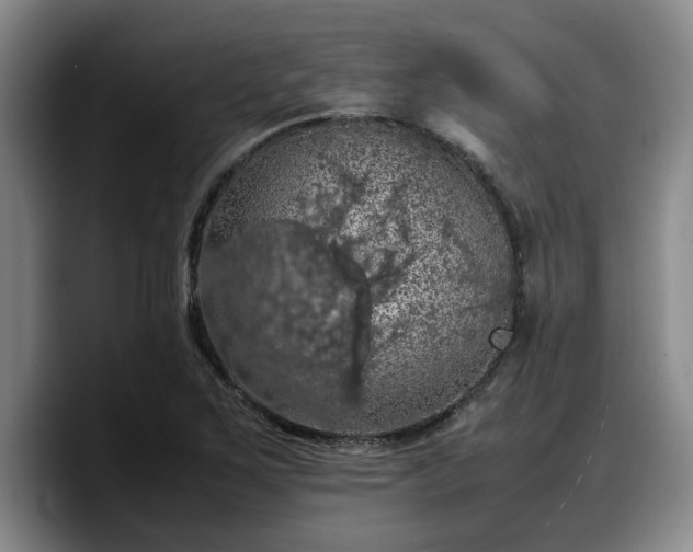 X0000090491267200707201531