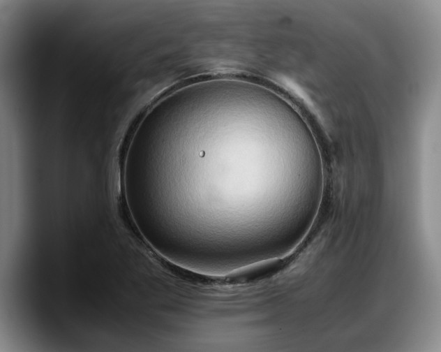 X0000090491269200707201531