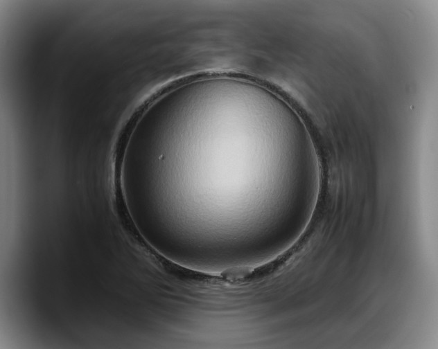 X0000090491270200707201531