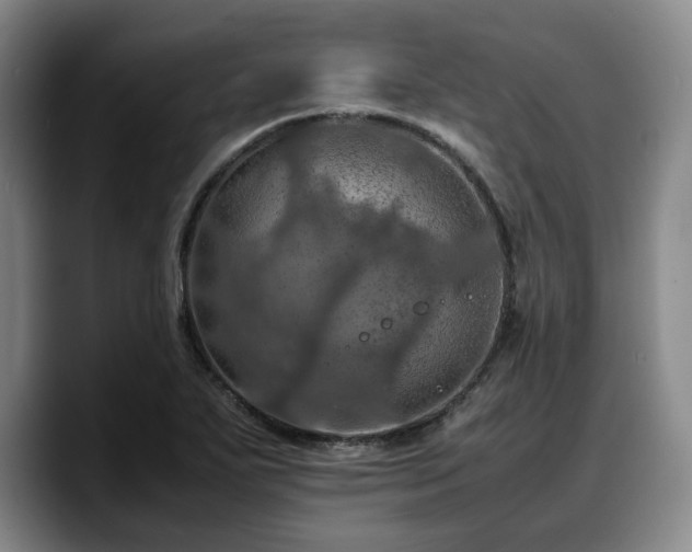 X0000090491271200707201531