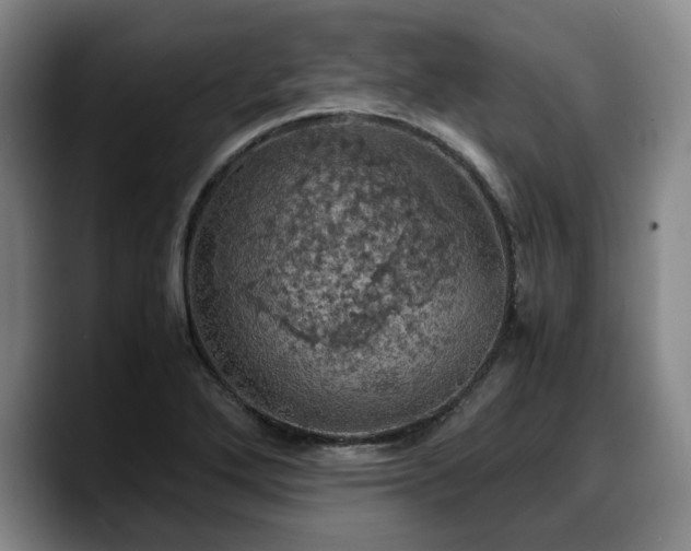 X0000090491272200707201531