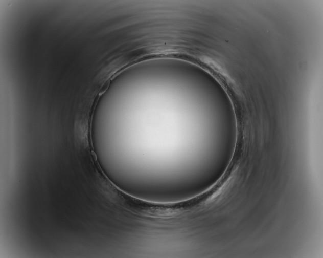 X0000090491273200707201531