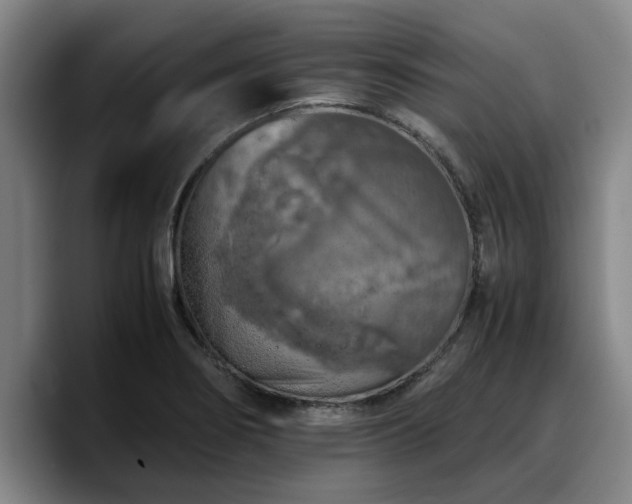 X0000090491274200707201531