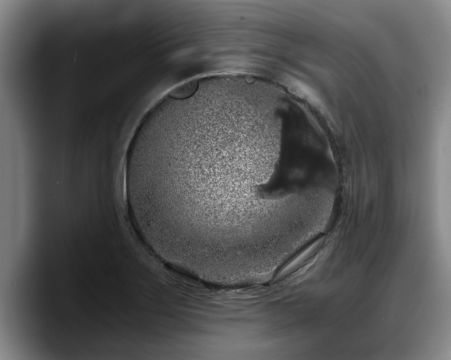 X0000090491275200707201531