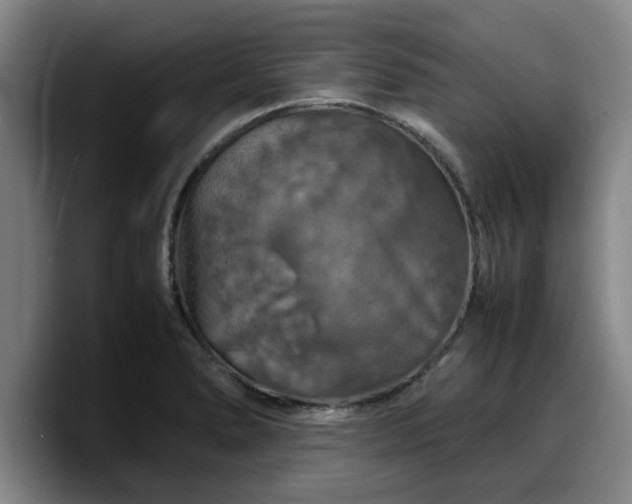 X0000090491278200707201531