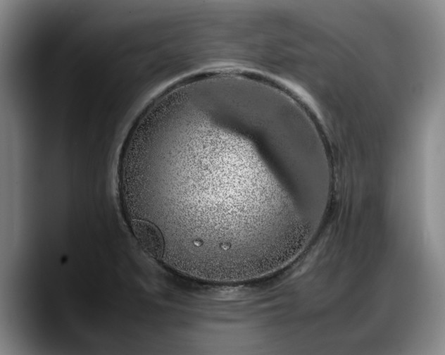 X0000090491279200707201531