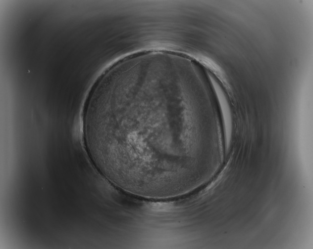 X0000090491280200707201531