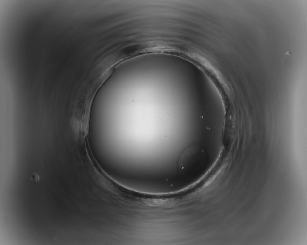 X0000090491281200707201531
