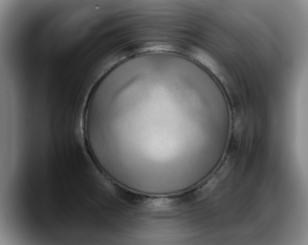 X0000090491282200707201531