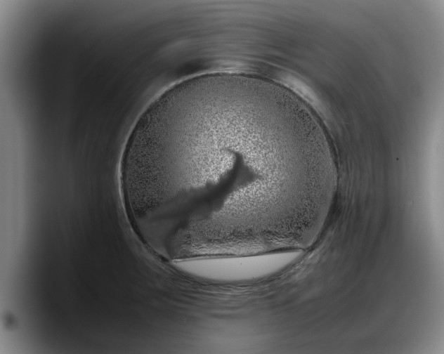 X0000090491283200707201531