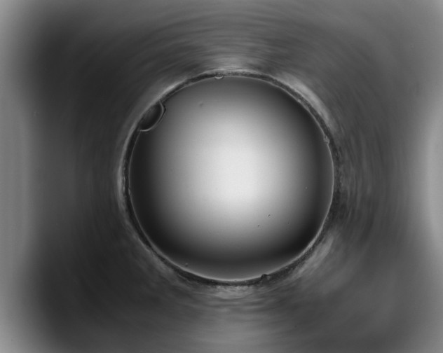X0000090491285200707201530