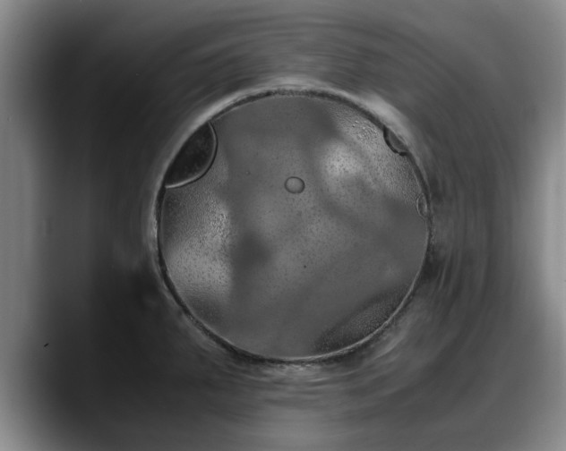 X0000090491287200707201530