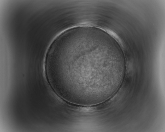 X0000090491288200707201530
