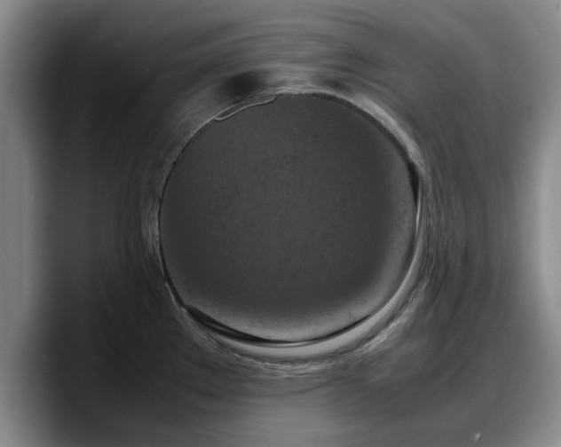 X0000090491289200707201530