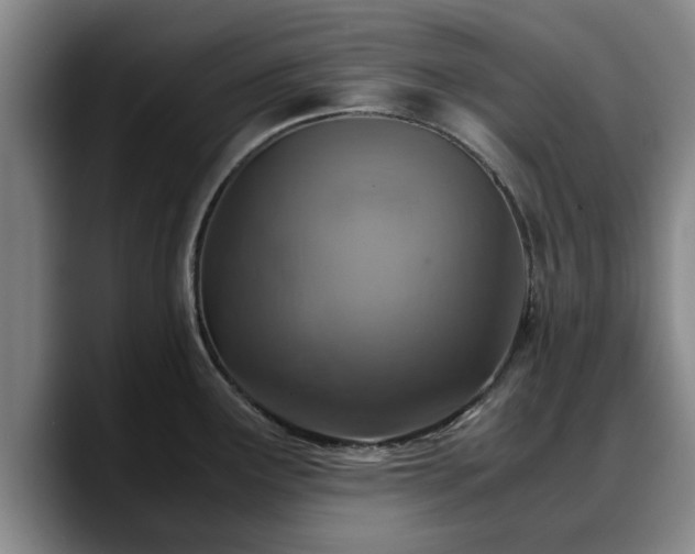X0000090491291200707201530