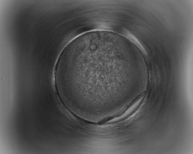 X0000090491292200707201530