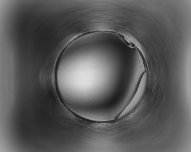 X0000090491293200707201530