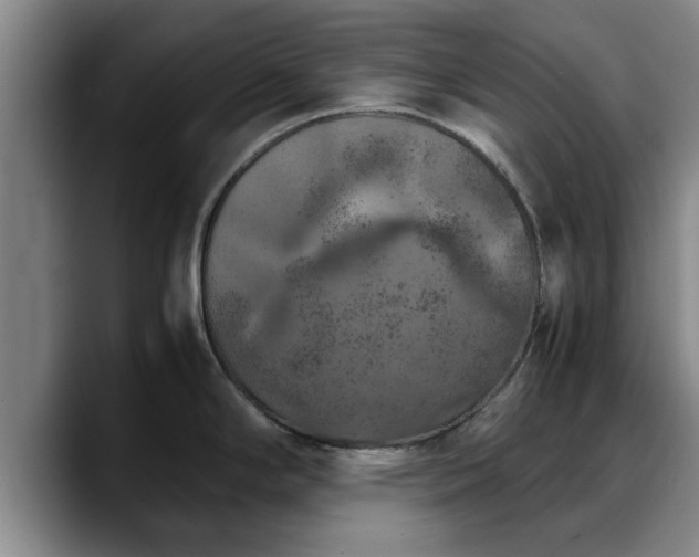 X0000090491294200707201530