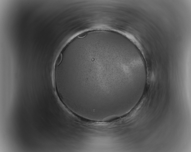 X0000090491295200707201530