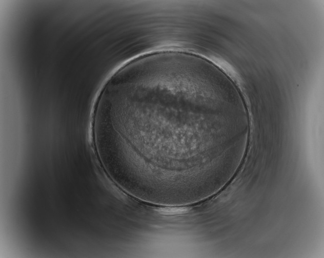 X0000090491296200707201530